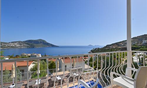 Villa Dionysus — 25