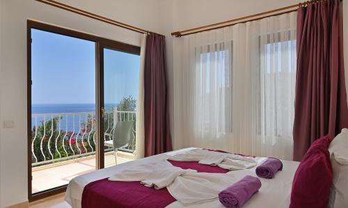Villa Dionysus — 47