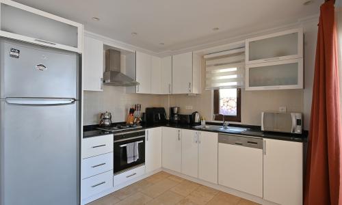 Villa Dionysus — 26