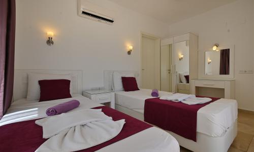 Villa Dionysus — 52