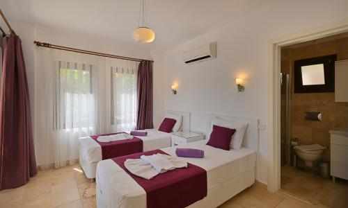 Villa Dionysus — 53