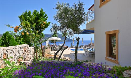 Villa Dionysus — 49