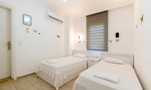 Villa Disney 3 — 45