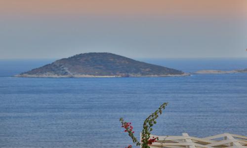 Villa Dreams — 34