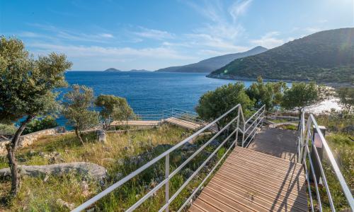 Villa Elana 2 — 50