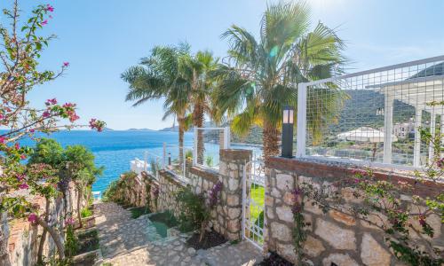 Villa Elana 1 — 45