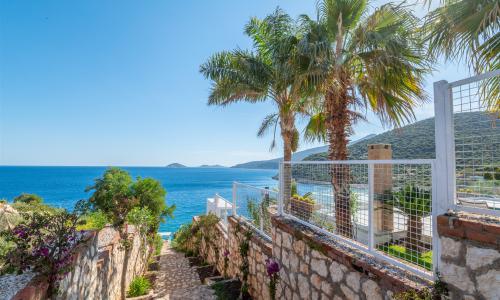 Villa Elana 1 — 46