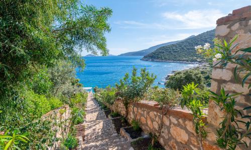 Villa Elana 1 — 59