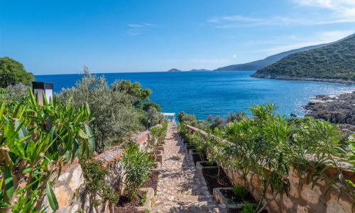 Villa Elana 1 — 50