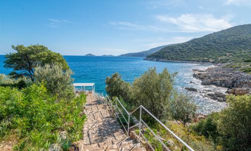 Villa Elana 1 — 51