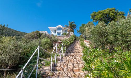 Villa Elana 1 — 53