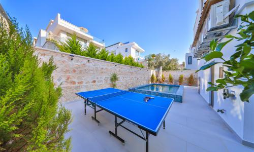 Villa Eliza — 17