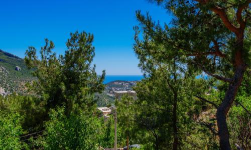 Villa Emek — 27