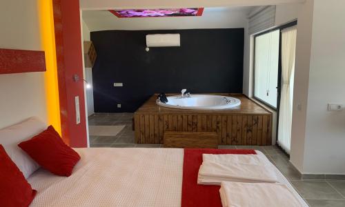 Villa Emir Sarıbelen — 6