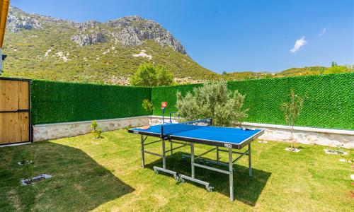 Villa Estrella — 12