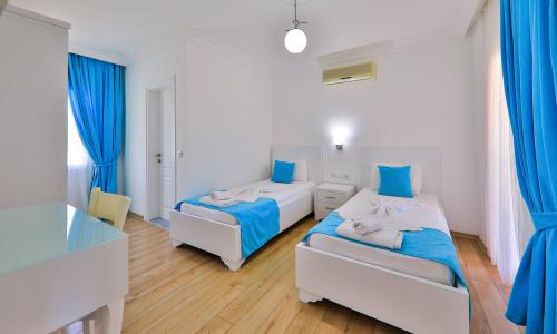 Villa Bitcoin — 24