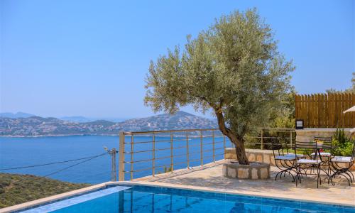 Villa Eterna — 12