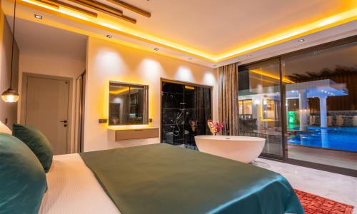 Villa Ferzan — 31