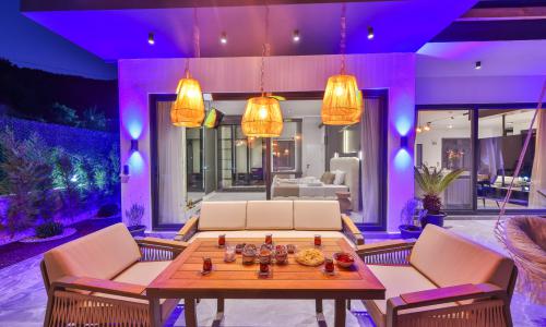 Villa Free — 45