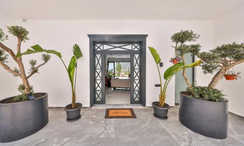 Villa Free — 123