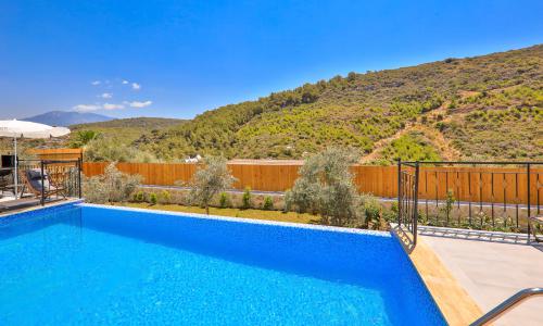 Villa Delfin Green — 10