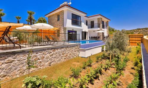 Villa Delfin Green — 3