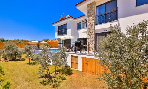 Villa Delfin Green — 4