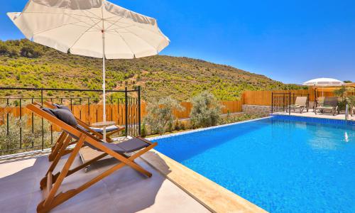 Villa Delfin Green — 11