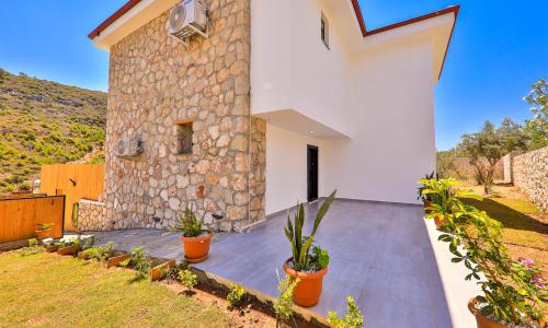 Villa Delfin Green — 48