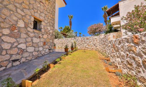 Villa Delfin Green — 49