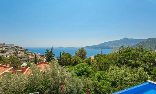 Villa Greenscape — 72