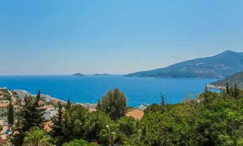 Villa Greenscape — 37