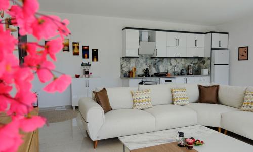 Villa Hasibe — 42