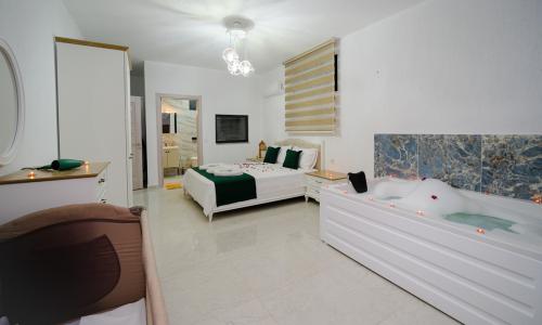 Villa Hasibe — 54