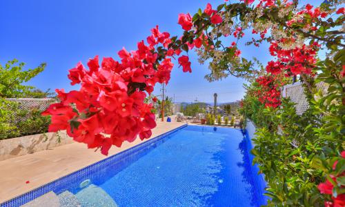 Villa Hatice Sultan 2 — 16