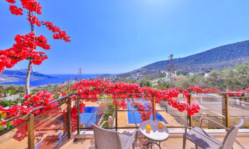 Villa Hatice Sultan 3 — 5