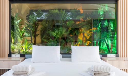 Villa Havanas — 50