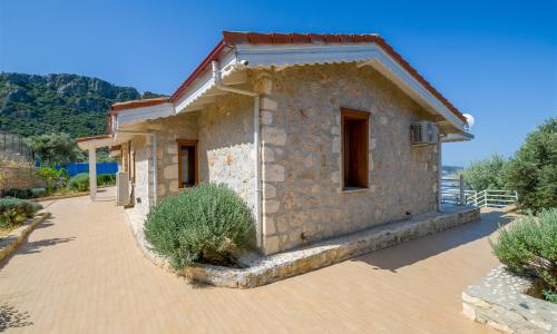 Villa Dream 1 — 50