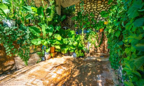 Villa Hyperion — 26