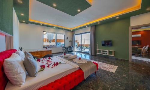 Villa İron 2 — 25