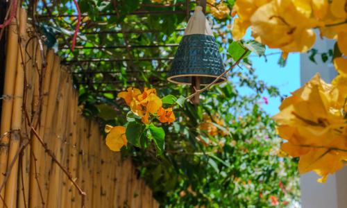 Villa İstanblue — 29