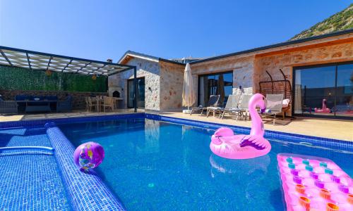 Villa Jungle — 4