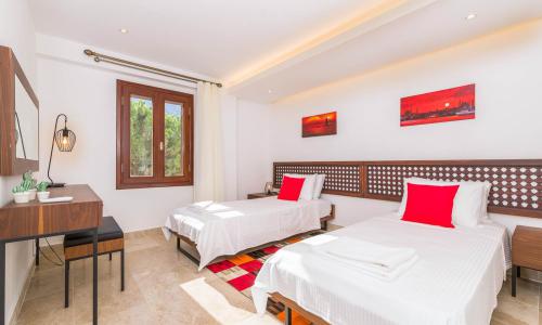 Villa Kaktüs House — 59