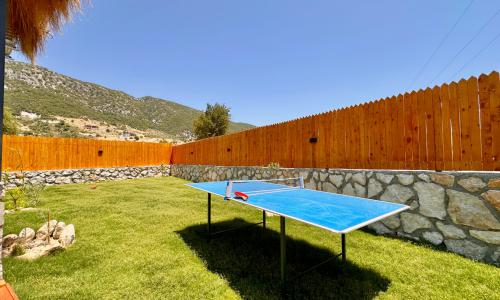 Villa Koca Armut 1 — 12