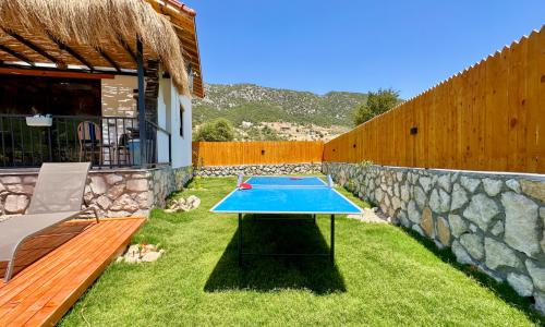 Villa Koca Armut 1 — 9