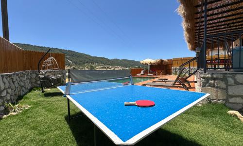 Villa Koca Armut 1 — 11