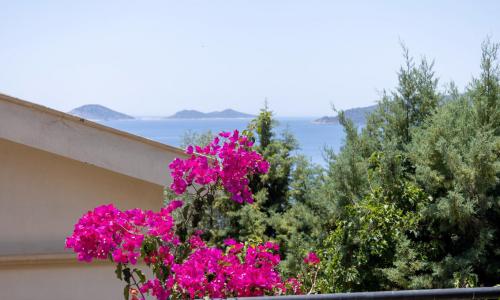 Villa Limon Kalamar — 11