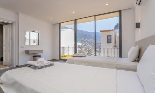 Villa Lion — 55