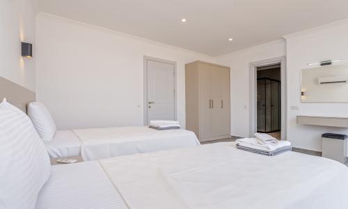 Villa Lion — 57