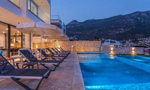 Villa Lion — 11